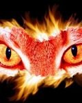 pic for Cat Fire Eyes